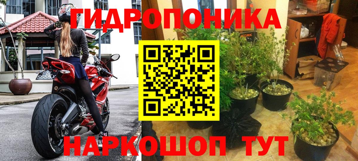 Конопля семена  Вход с VPN  Бошки марихуана Ganja  Гай  Бошки марихуана VHQ  Бошки марихуана Amnesia 