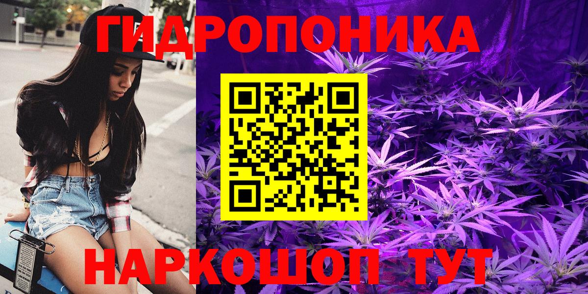 МАРИХУАНА гибрид Гай